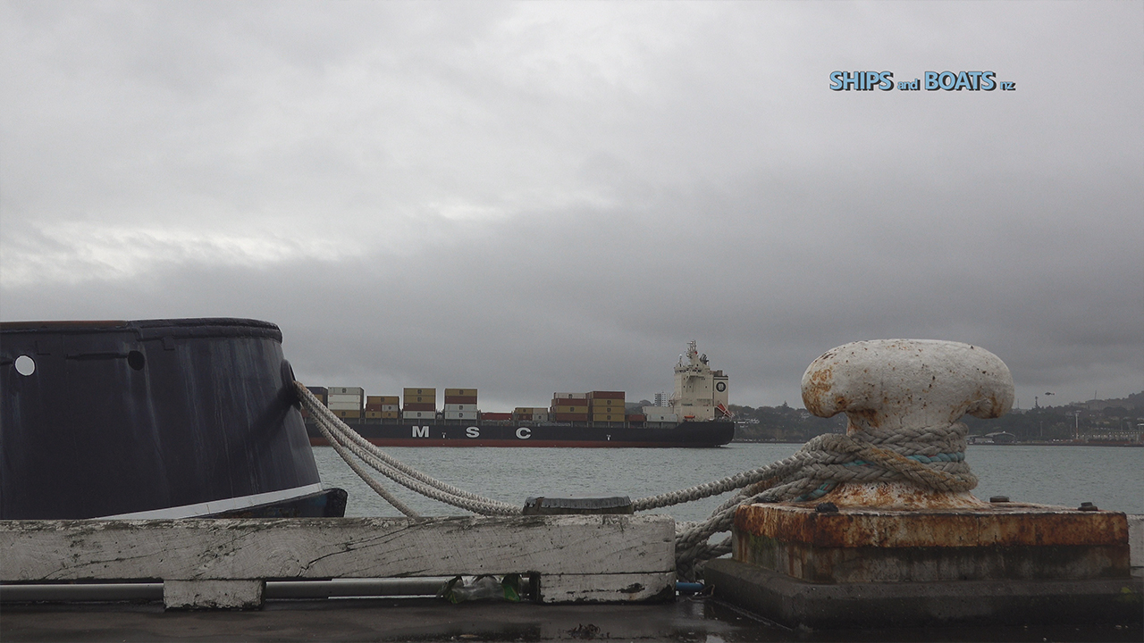MSC Cape III